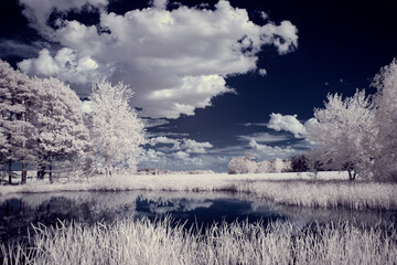 infrared photography - ir photo of landscape with tree under sky with clouds - the art of our world...