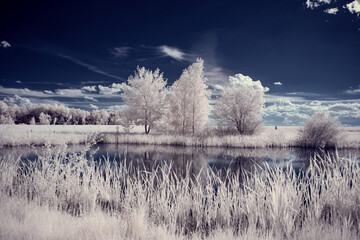 infrared photography - ir photo of landscape with tree under sky with clouds - the art of our world...