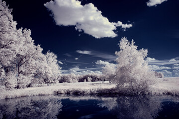 infrared photography - ir photo of landscape with tree under sky with clouds - the art of our world...