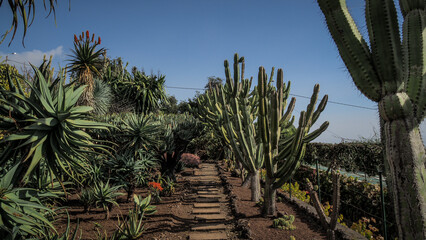 Madeira is a Portuguese island with magnificent nature and hiking trails.