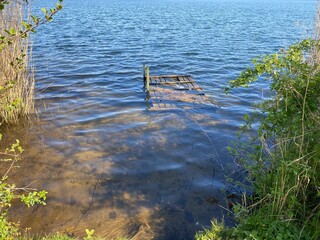 lake in the forest