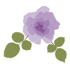 Single dark purple rose flower with green leaves. Romantic mood. Fashion design element. Hand-drawn vector, flat style. For printing on fabric, illustrations, congratulations, invitations, gift.
