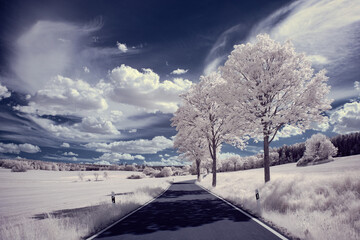 infrared photography - ir photo of landscape with tree under sky with clouds - the art of our world...