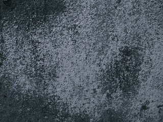 Black and white background image, rough surface, looks like a cement floor.