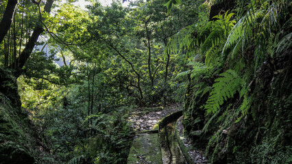 Madeira is a Portuguese island with magnificent nature and hiking trails.