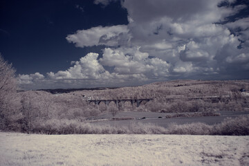 infrared photography - ir photo of landscape with tree under sky with clouds - the art of our world and plants in the infrared camera spectrum