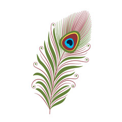 Bright peacock feather decorated with curls and circles. Hand-drawn vector, flat style. Feather of an exotic bird. Fashion and beauty, boho style. For tattoo, illustrations, web banners, print fabric.