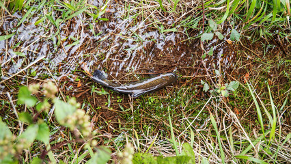 Madeira is a Portuguese island with magnificent nature and hiking trails.
