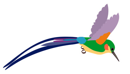 Small tropical hummingbird with long thin beak and bright blue feathers on white background. Wildlife theme. Flat vector Illustration of flying colibri