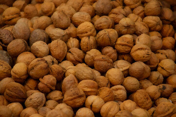 digital painting of walnut fruits