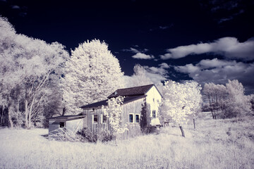 infrared photography - ir photo of landscape with tree under sky with clouds - the art of our world...