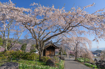 光前寺