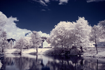 infrared photography - ir photo of landscape with tree under sky with clouds - the art of our world and plants in the infrared camera spectrum