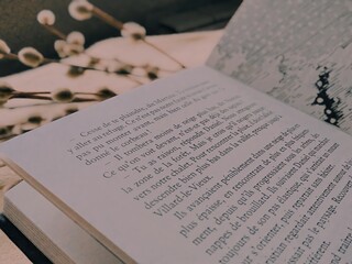 book and rosary