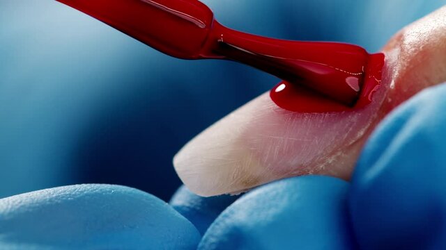 Manicurist paints nails with red gel polish. Application of nail polish on nails. Nail polish application.  Manicure service.  Specialist covers the nail of client by red varnish. Close up. 4K footage