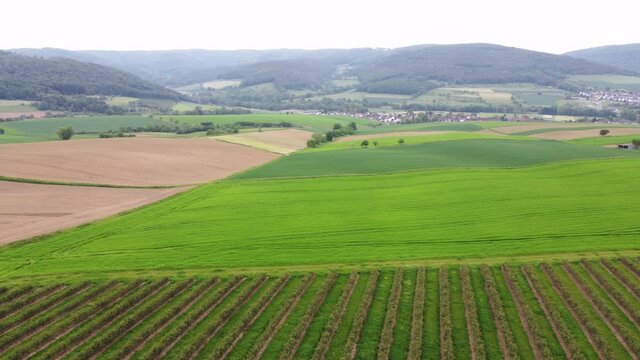 Drohnenaufnahme, Aronia-Plantage und Agrar-Landschaft im Spessart