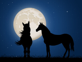 two horses in the moonlight