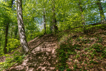 Obraz premium Along the premium hiking trail 