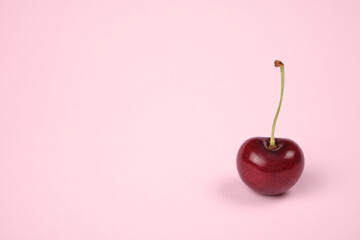 Cherry on pink pain background. Empty space for text