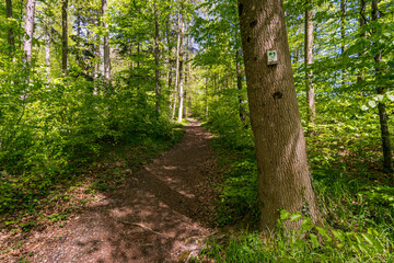 Along the premium hiking trail 