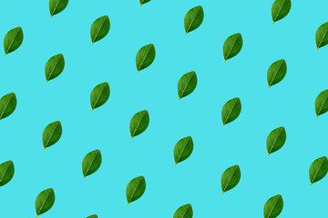 Summer pattern with green leaves on a pastel blue background. Nature Abstract 3D Ad Background Art.