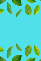 Summer pattern with green and yellow leaves on a pastel blue background. Minimal Nature Abstract 3D Vertical Ad Idea.