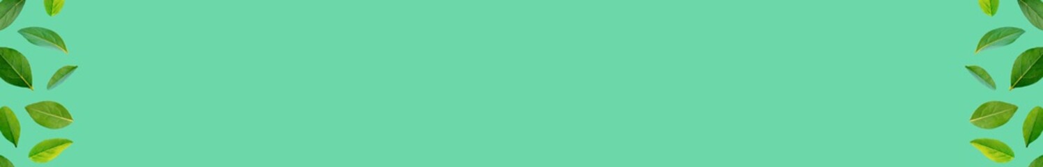 Design idea with green leaves on a pastel green background. Minimal Fresh Nature web banner ad...