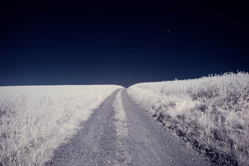 infrared photography - ir photo of landscape with tree under sky with clouds - the art of our world...