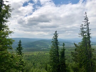 Ural nature. Ural mountains. Forest