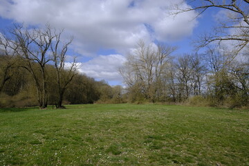 Naturschutzgebiet Mainaue bei Augsfeld, Landkreis Hassberge, Unterfranken, Franken, Bayern, Deutschland