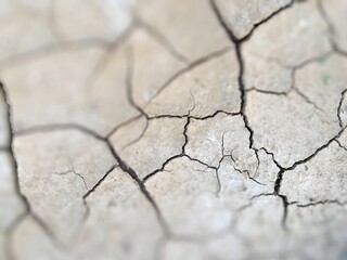 dry cracked soil