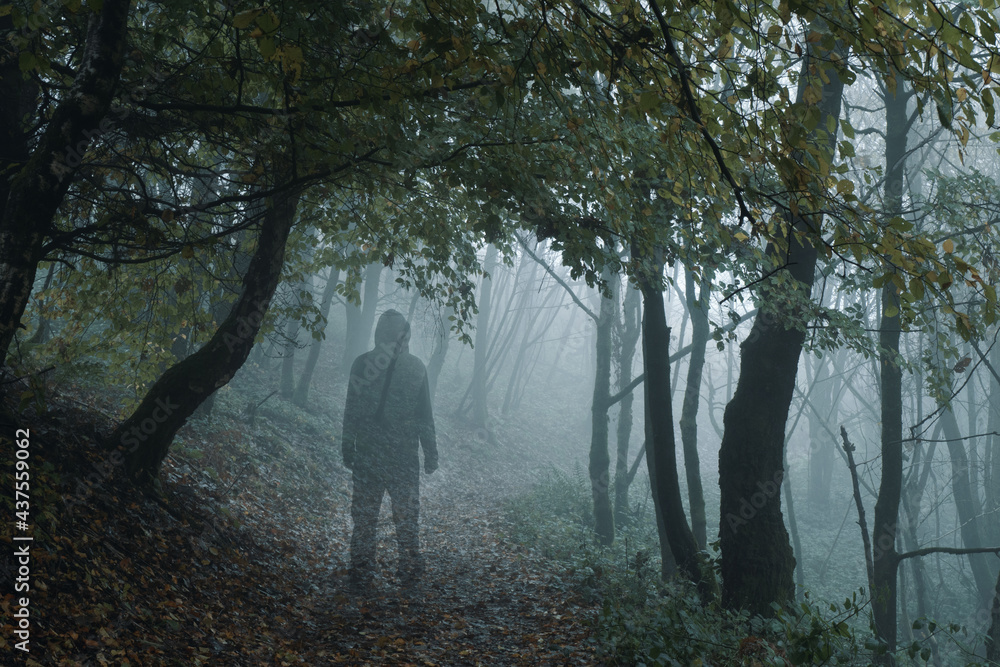 Poster a ghostly hooded figure on a path through a moody misty autumn forest. with a transparent edit