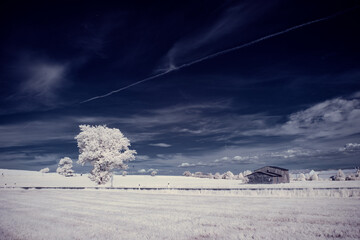 infrared photography - ir photo of landscape with tree under sky with clouds - the art of our world...