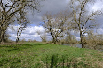 Naturschutzgebiet Mainaue bei Augsfeld, Landkreis Hassberge, Unterfranken, Franken, Bayern, Deutschland