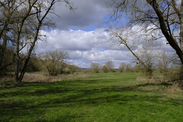 Naturschutzgebiet Mainaue bei Augsfeld, Landkreis Hassberge, Unterfranken, Franken, Bayern, Deutschland