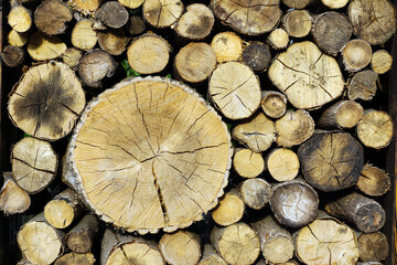 Wall of stacked wood.