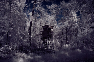 infrared photography - ir photo of landscape with tree under sky with clouds - the art of our world and plants in the infrared camera spectrum