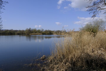 Sander Baggerseen im Naturschutzgebiet Mainaue bei Augsfeld, Landkreis Hassberge, Unterfranken, Franken, Bayern, Deutschland