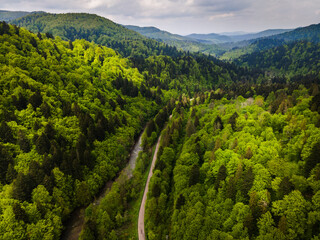 Fototapeta premium Bieszczady Mountains in Poland at Spring. Green Spruce Trees on Hills. Drone View.