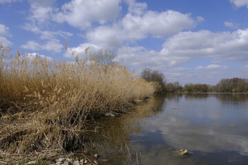 Sander Baggerseen im Naturschutzgebiet Mainaue bei Augsfeld, Landkreis Hassberge, Unterfranken, Franken, Bayern, Deutschland