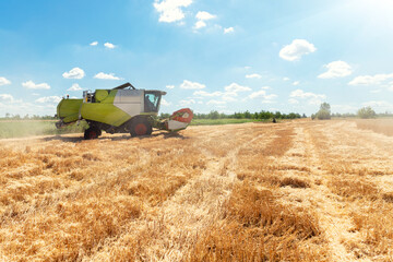 Scenic side view Big powerful industrial combine harvester machine reaping golden ripe wheat cereal...