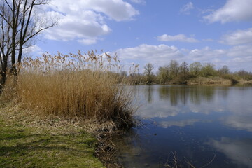 Sander Baggerseen im Naturschutzgebiet Mainaue bei Augsfeld, Landkreis Hassberge, Unterfranken, Franken, Bayern, Deutschland