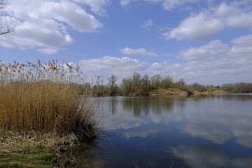 Sander Baggerseen im Naturschutzgebiet Mainaue bei Augsfeld, Landkreis Hassberge, Unterfranken, Franken, Bayern, Deutschland