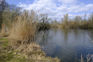 Sander Baggerseen im Naturschutzgebiet Mainaue bei Augsfeld, Landkreis Hassberge, Unterfranken, Franken, Bayern, Deutschland