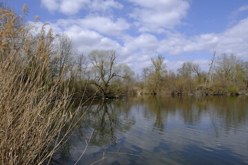 Sander Baggerseen im Naturschutzgebiet Mainaue bei Augsfeld, Landkreis Hassberge, Unterfranken, Franken, Bayern, Deutschland