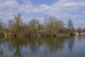 Sander Baggerseen im Naturschutzgebiet Mainaue bei Augsfeld, Landkreis Hassberge, Unterfranken, Franken, Bayern, Deutschland
