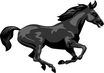 Black horse galloping - vector illustration