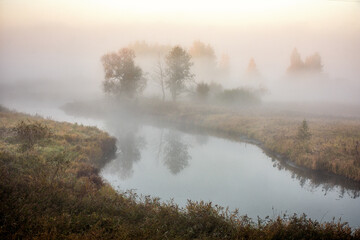 Autumn dense fog on the river, reflection of trees in the water