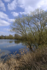 Sander Baggerseen im Naturschutzgebiet Mainaue bei Augsfeld, Landkreis Hassberge, Unterfranken, Franken, Bayern, Deutschland