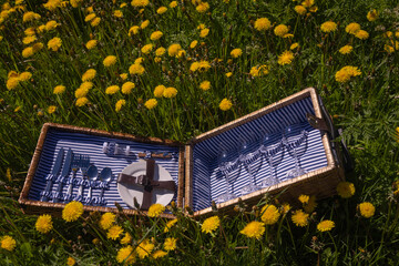 Vintage picnic suitcase on the lawn with yellow dandelions. Holiday concept in nature